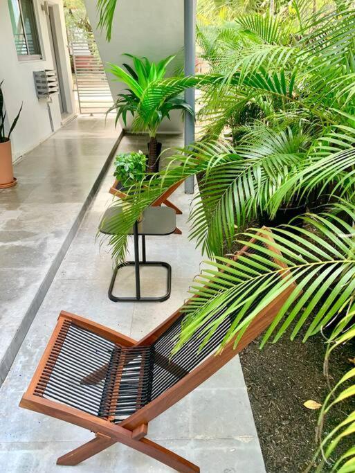 Groveo5 10 Minutes From Miami Beach エクステリア 写真